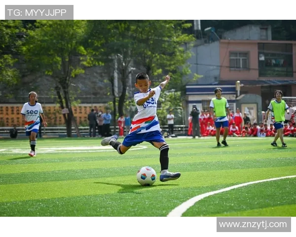 TCF足球：探索足球战术与技术的完美结合之路