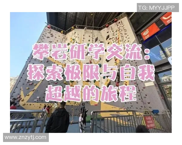 上海攀岩队转型之路探索与挑战背后的故事与未来展望