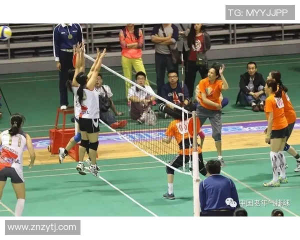 上海排球队的耐力训练与比赛表现深度剖析与启示