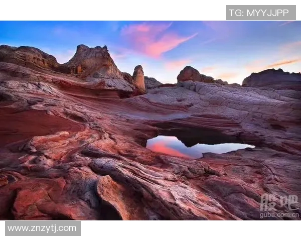 上海极限运动队进攻策略解析与热点趋势探讨 上海极限运动队进攻策略解析与热点趋势探讨