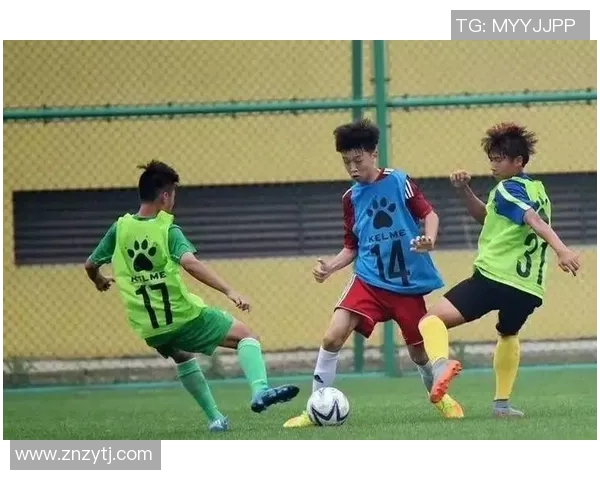 中国甲足球队试训信息发布球员选拔与训练安排全解析